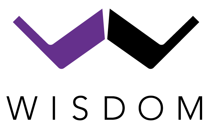 Wisdom Audio - automation partner in Miami